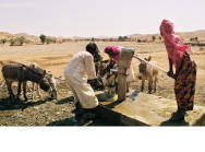 Eine Wasserstelle in Eritrea